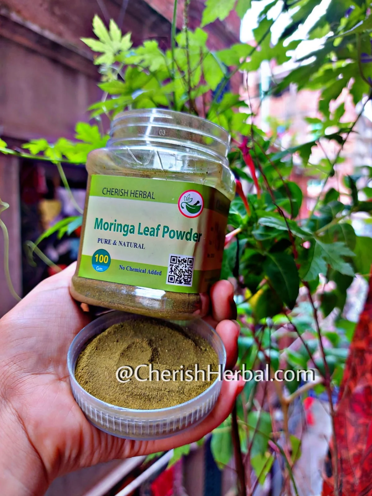 CHERISH HERBAL Moringa Leaf Powder সজনে পাতা গুড়া 100gm