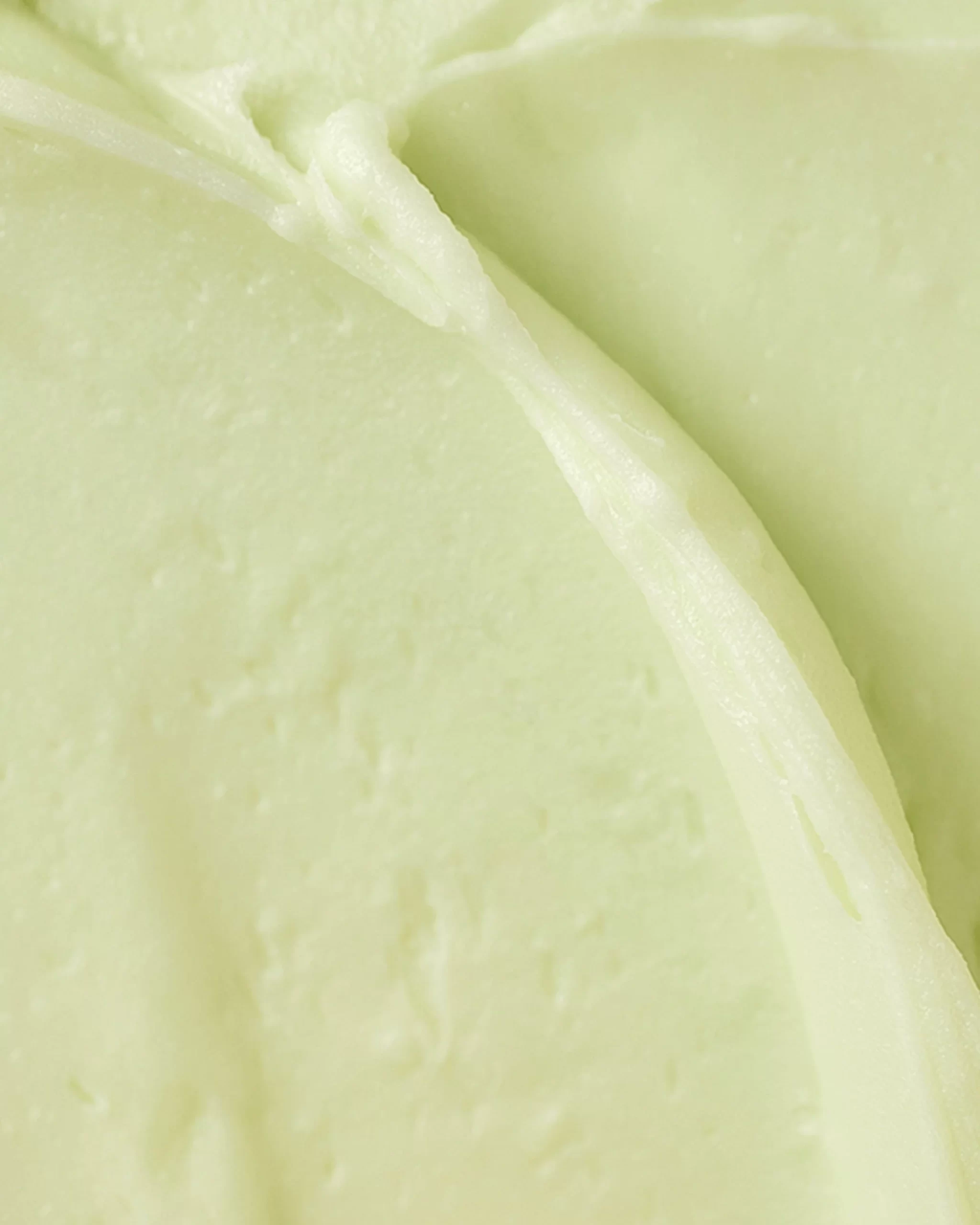 BEAUTY OF JOSEON MATTE SUN STICK : MUGWORT+CAMELIA 18G - Image 2
