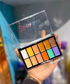 IMAGIC 12 Color Concealer Palette